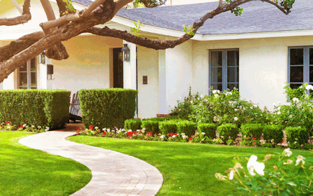 A tree in front of a house.