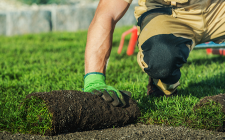 A few people digging in the dirt.