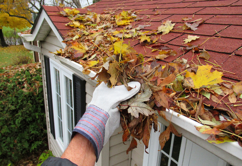Fall maintenance