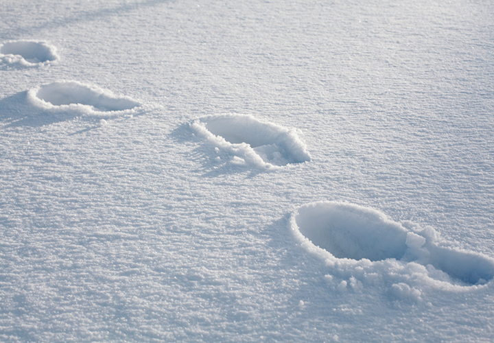 Snow footprints in the Winter.