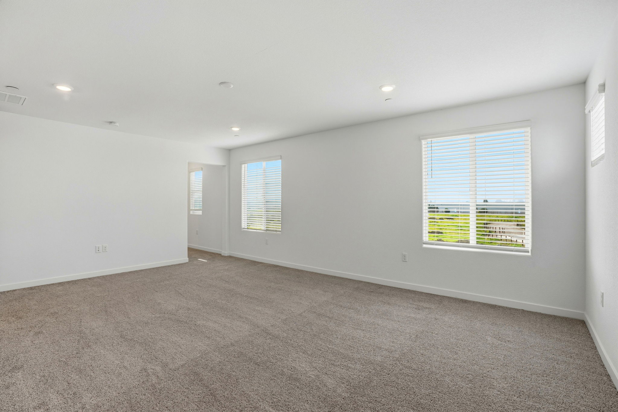 A room with a carpet and windows.