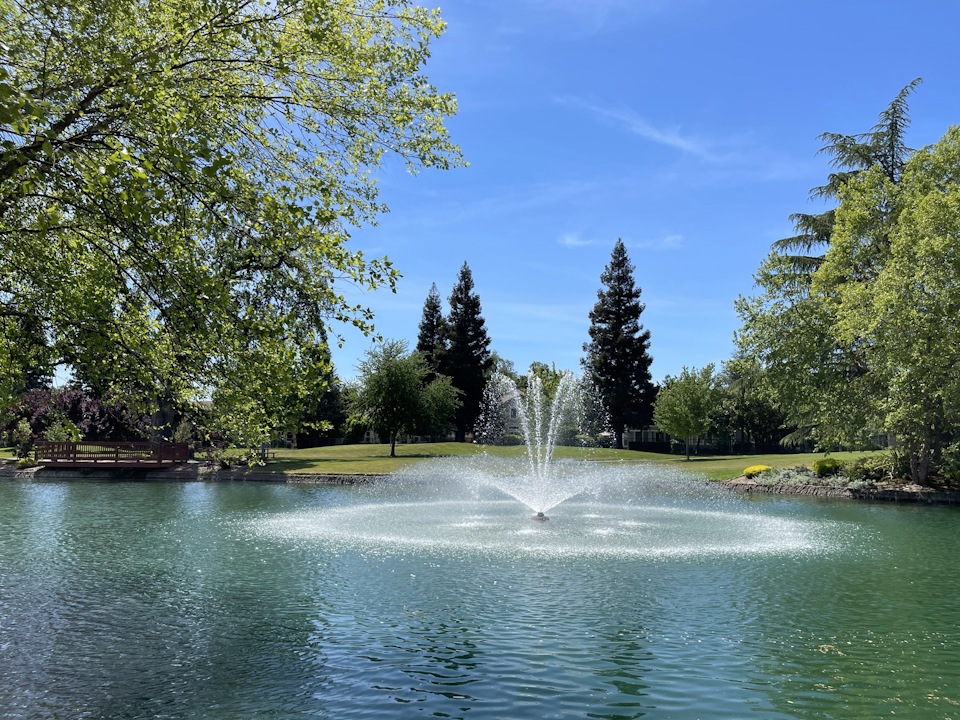 A fountain in a pond.