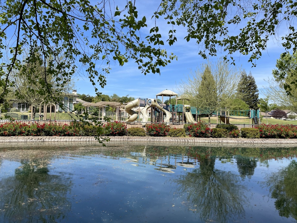 A building with a pond in front of it.
