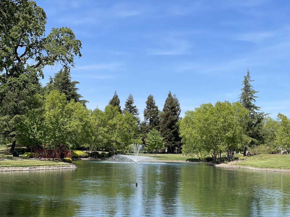 A body of water with trees around it.