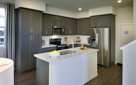 A kitchen with black cabinets.