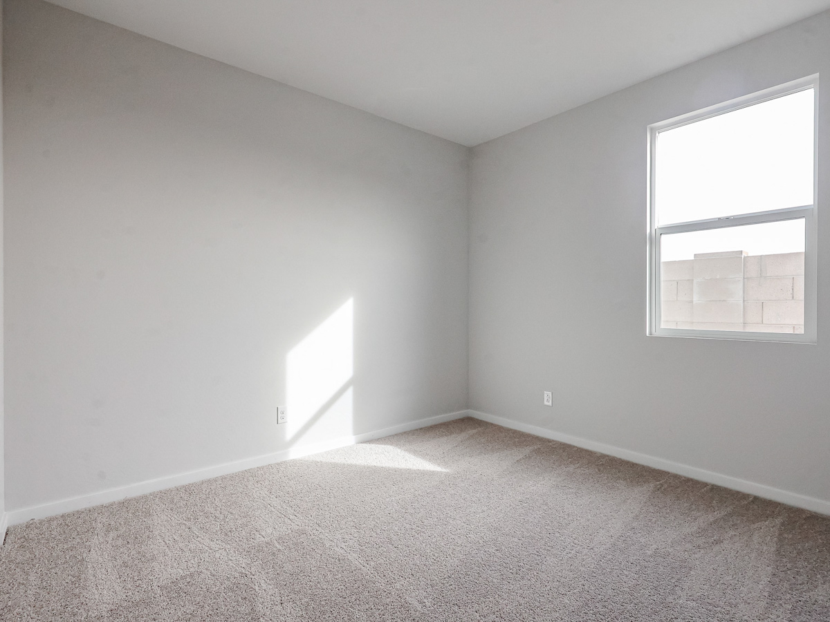 A room with a carpet and windows.