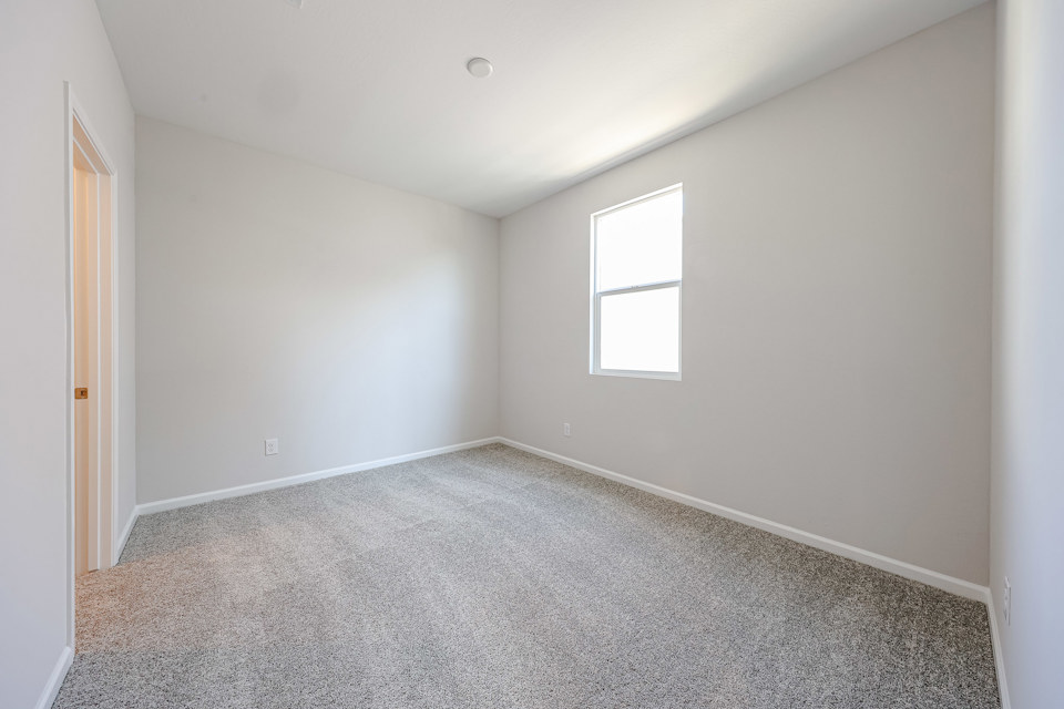 A room with a carpet and a window.