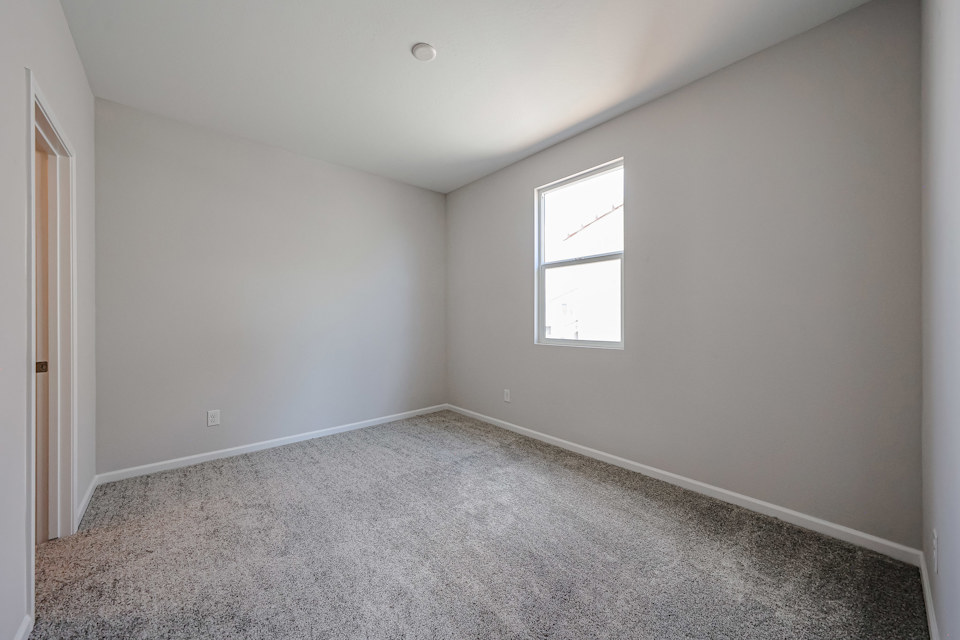 A room with a carpet and a window.