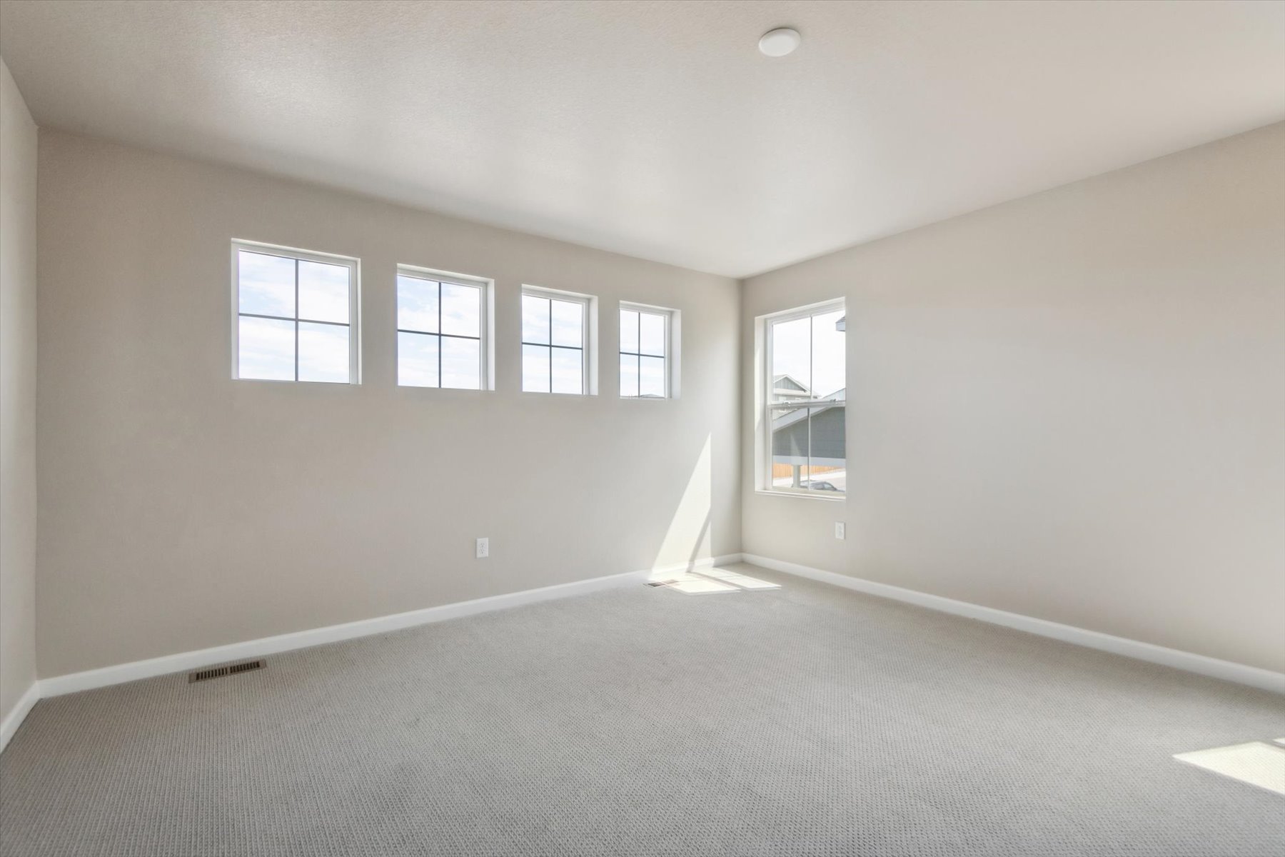 A room with a carpet and windows.