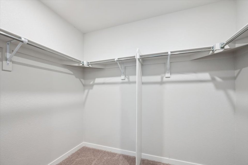 A white staircase with a carpet.