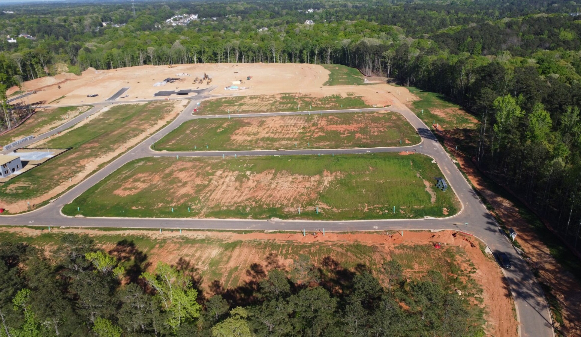 A landscape with trees and grass.