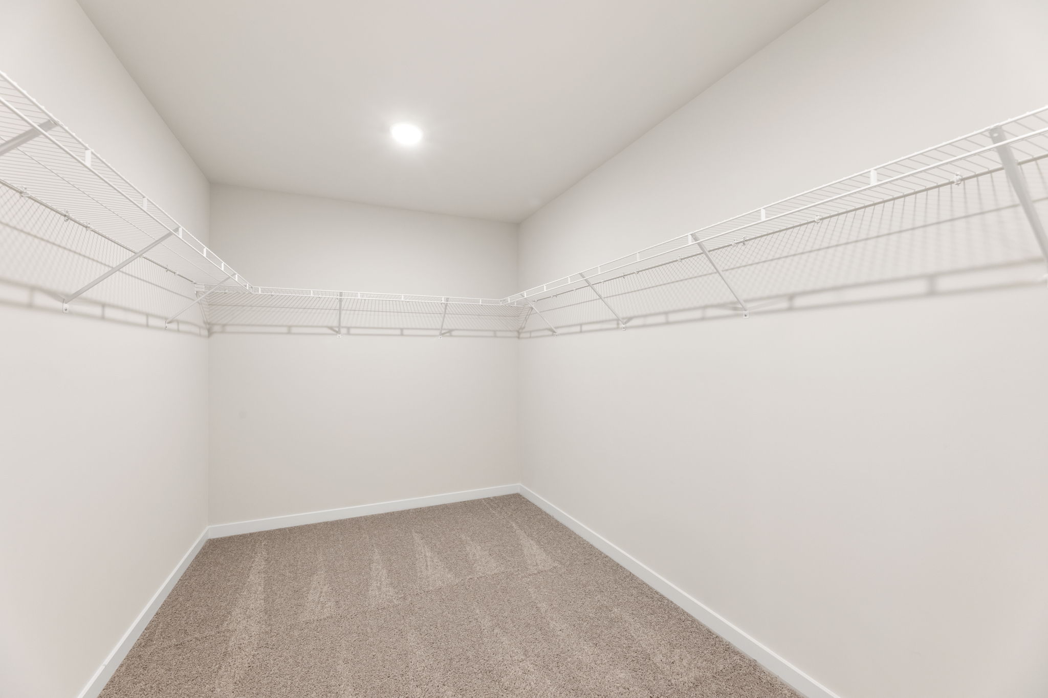 A white hallway with a grey carpet.