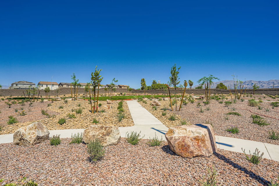 A landscape with trees and rocks.