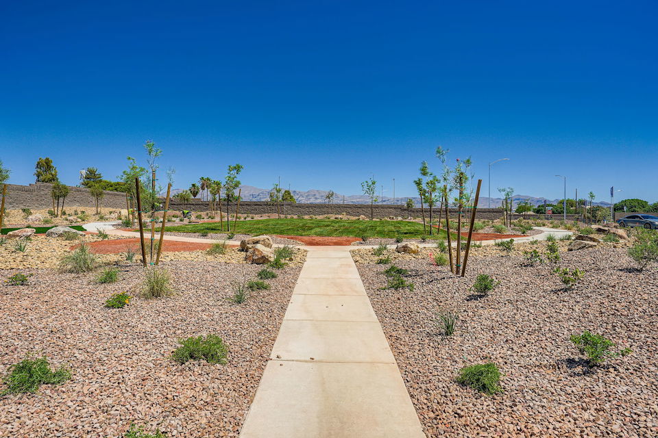 A path with trees and plants on the side.