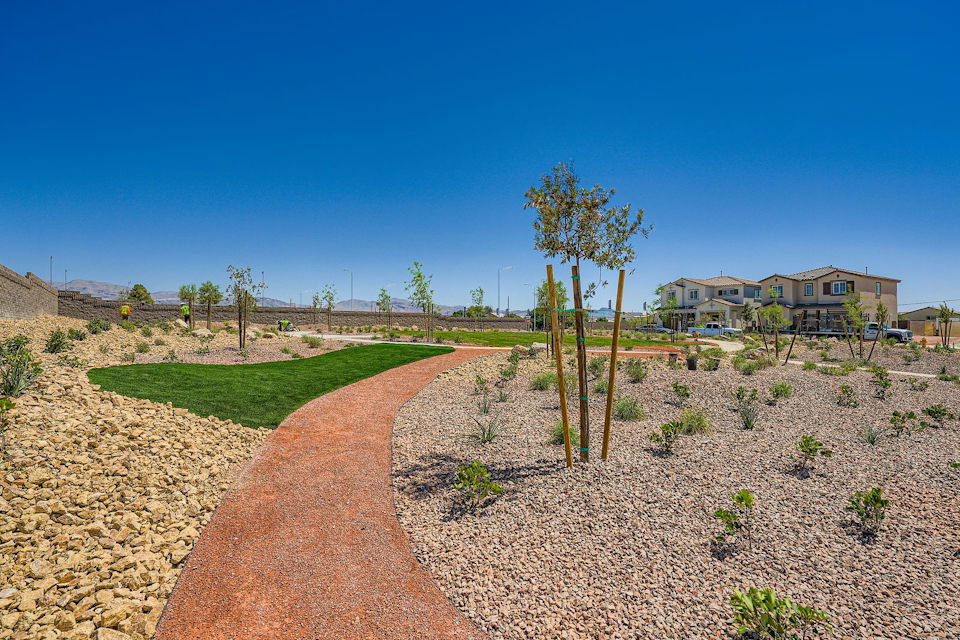 A dirt path with trees and grass.