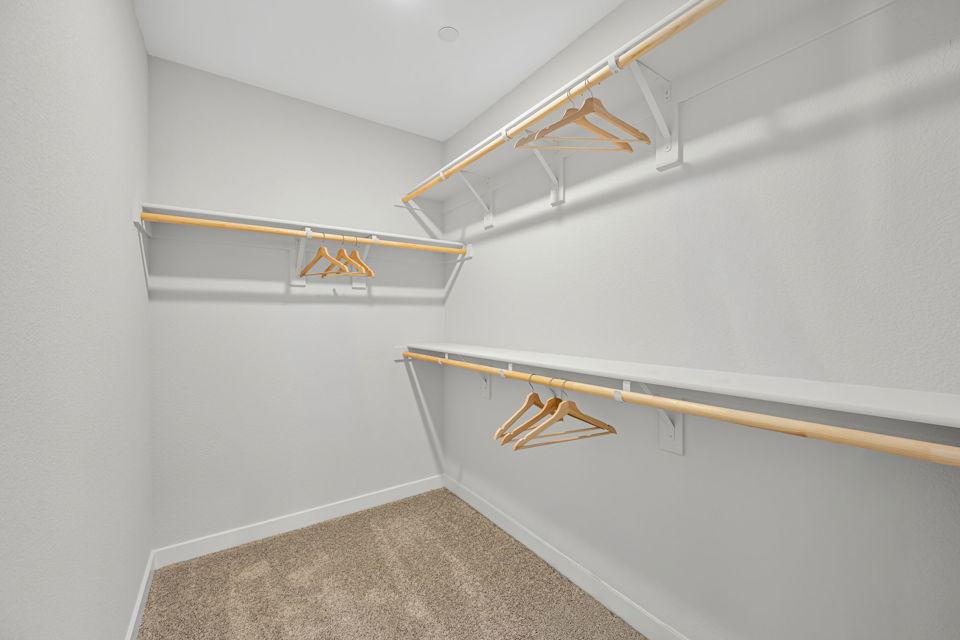 A staircase with a carpet.