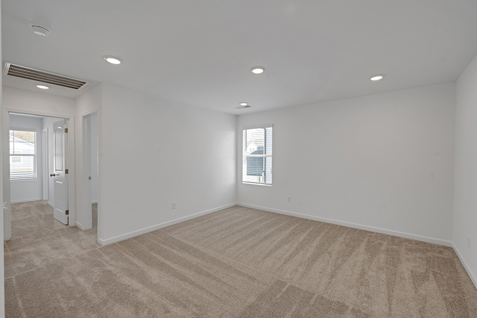 A room with a carpet and windows.