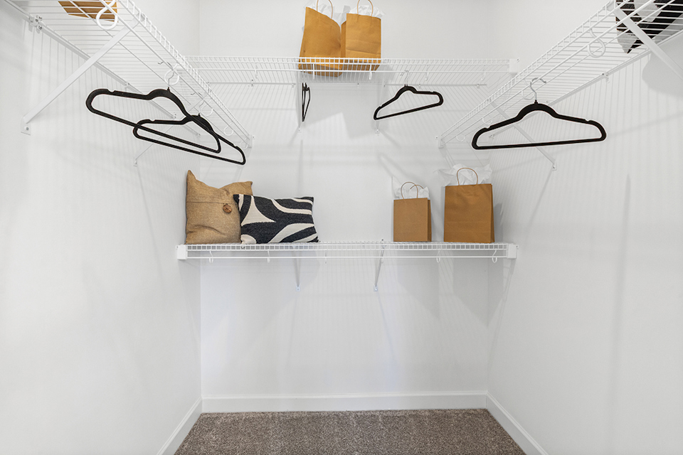 A cat lying on a shelf.