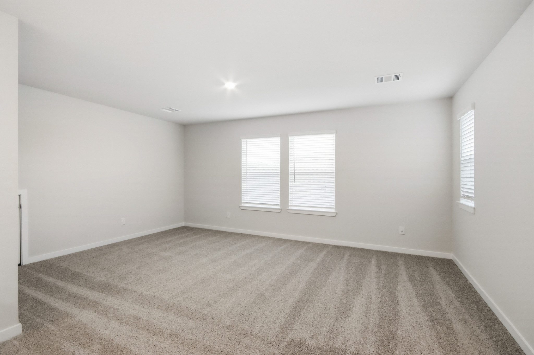 A room with a carpet and windows.