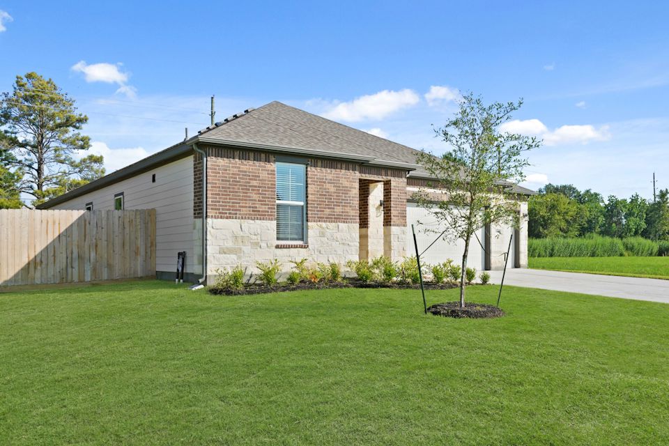 A house with a tree in the front yard.