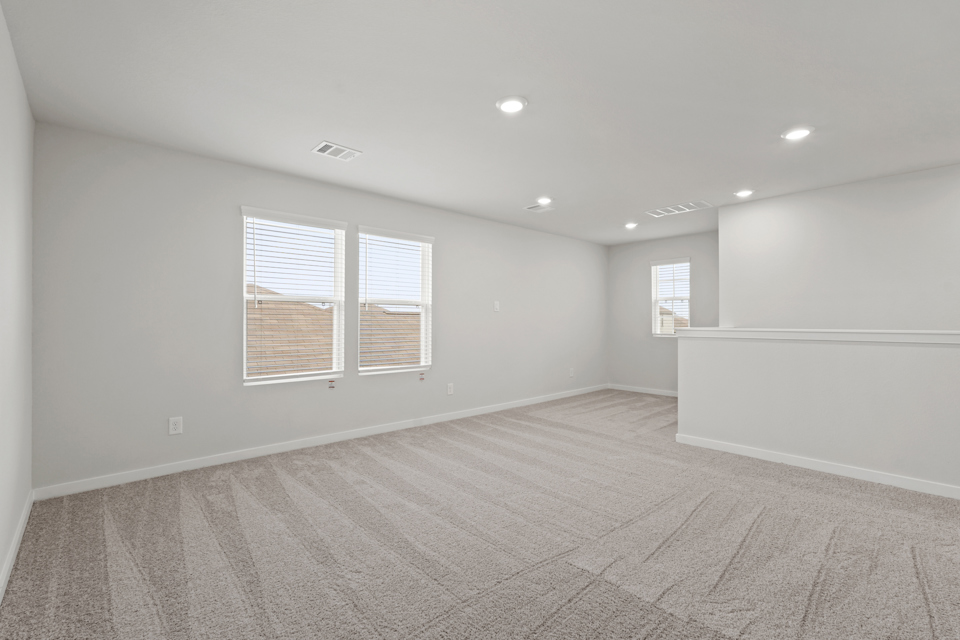 A room with a carpet and windows.