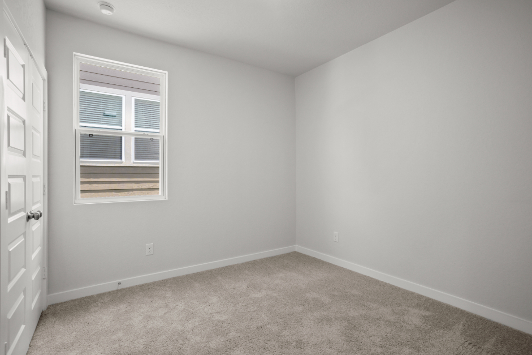 A room with a carpet and a window.