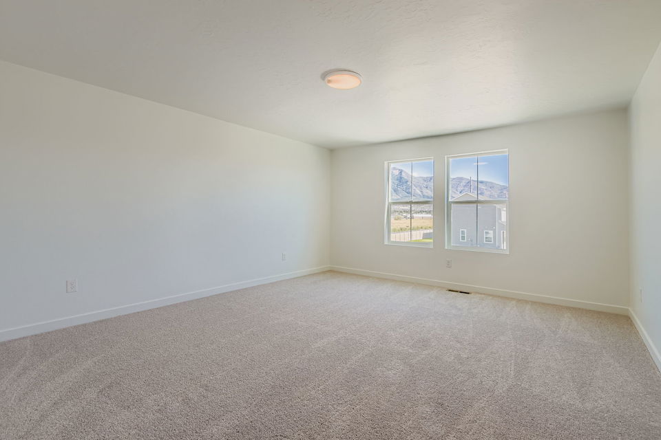 A room with a carpet and windows.