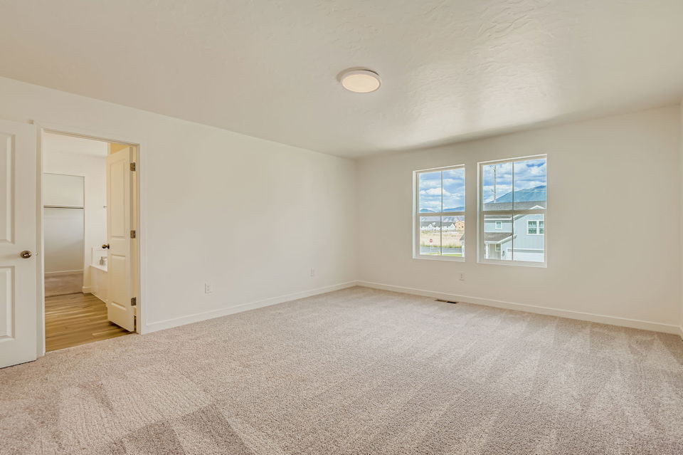 A room with a carpet and windows.