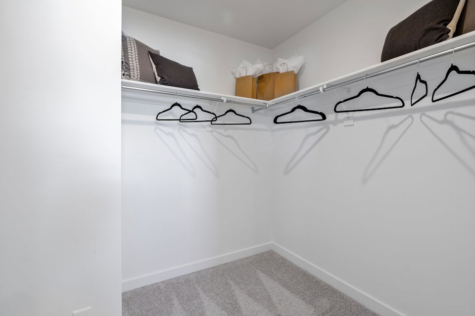 A room with a bed and glasses.