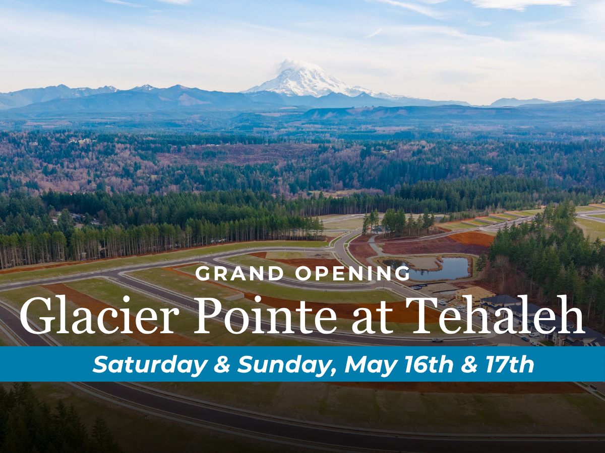 A road with a mountain in the background.