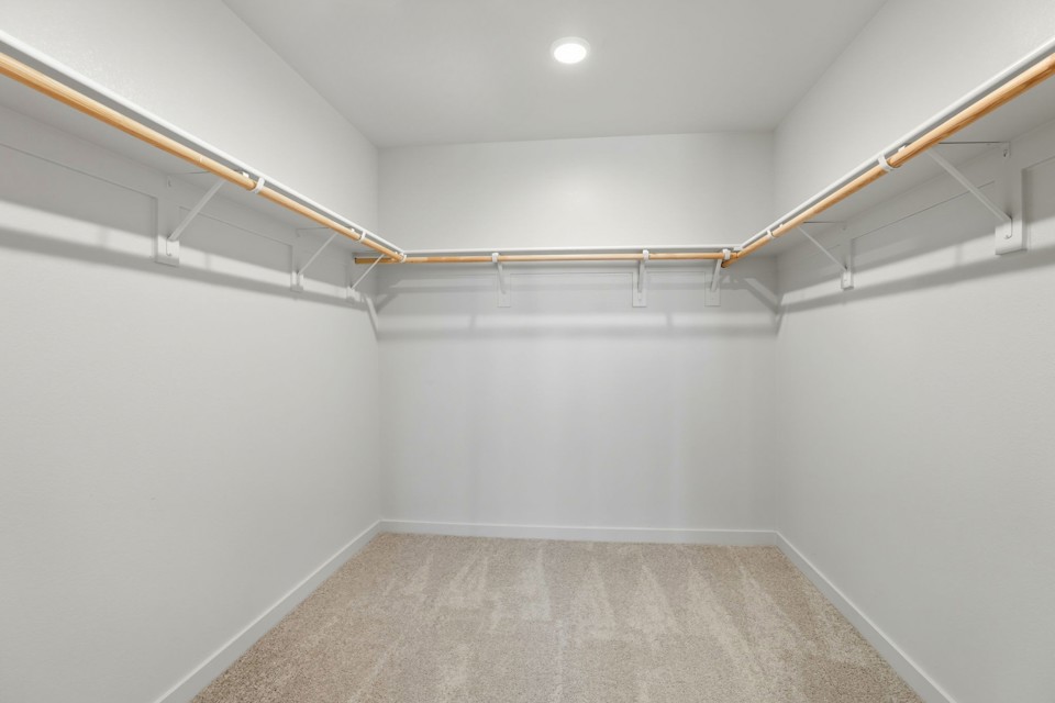 A room with a carpet and a staircase.